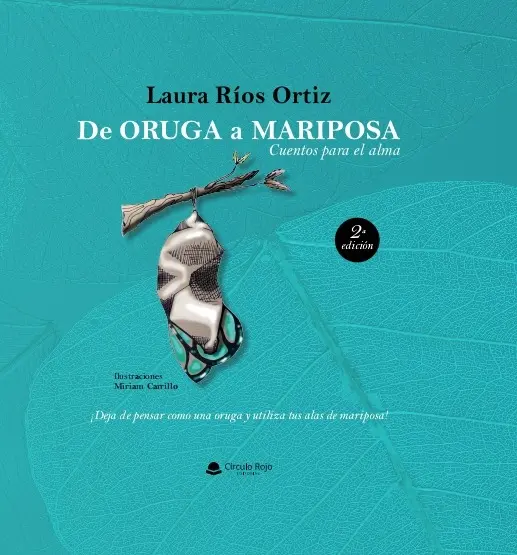 de oruga a mariposa